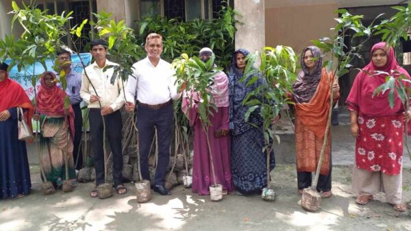 জাতীয় শোক দিবসে গ্রামীণ ব্যাংক এর উদ্যোগে দোহারে ২৪ হাজার বৃক্ষরোপণ