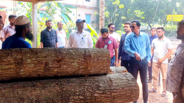 দোহারে অভিযানে ১৯ হাজার টাকা জরিমানা