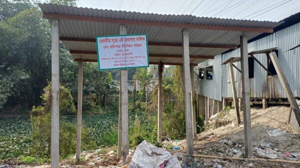 রাইপাড়া ইউপি চেয়ারম্যানের বিরুদ্ধে রাতের আধারে সরকারি জমি দখলের অভিযোগ