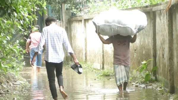 দোহারে জলাবদ্ধতায় জনদূর্ভোগ চরমে